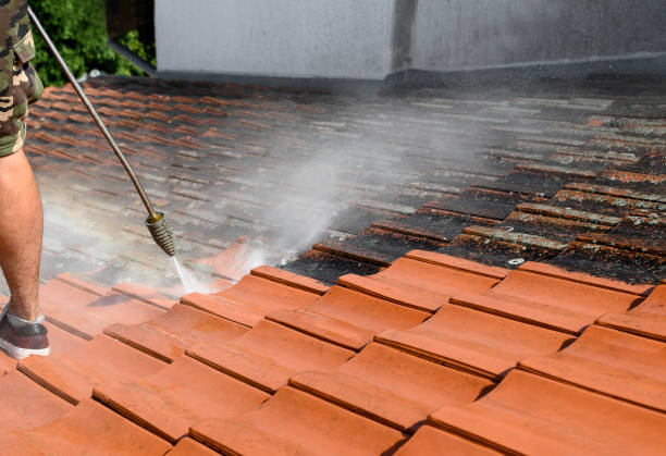  Parrish, AL Pressure Washing Pros