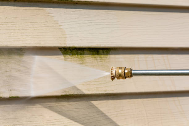 Best Local Pressure Washing Services  in Parrish, AL