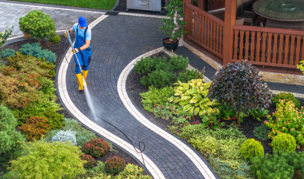 Best Roof Pressure Washing  in Parrish, AL